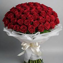 Букет 101 Красная роза Блэк Мэджик в Красном Октябре