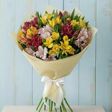 Букет цветов из:  Альстромерии #REPLACE_PRED# Красном Октябре
