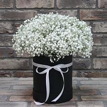 Цветочная композиция из Гипсофила в шляпной коробке в Красном Октябре