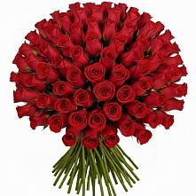 Букет Красные розы Чери Лав в Красном Октябре