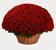 Премиум букет из: Розы в Красном Октябре
