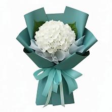 Букет цветов из:  Гортензия в Красном Октябре